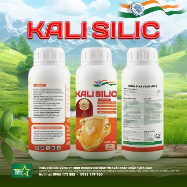 KALI SILIC Nhập khẩu từ Ấn Độ