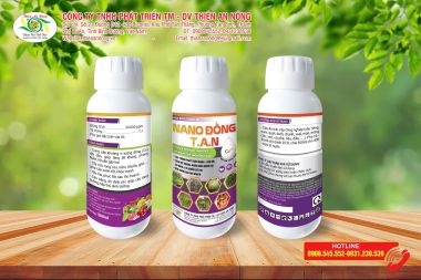 NANO ĐỒNG T.A.N