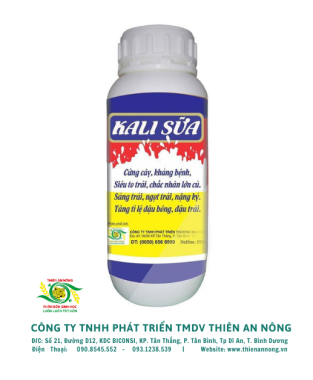 KALI  SỮA