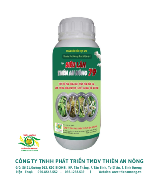 SIÊU LÂN THIÊN AN NÔNG 79